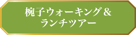 椀子ウォーキング&ランチツアー