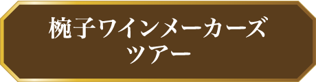 椀子ワインメーカーズツアー