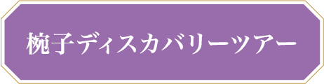 椀子プレミアムツアー